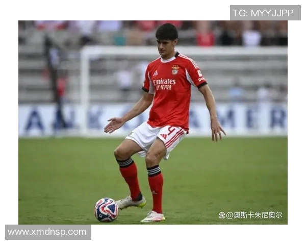 米兰球星足球魅力解析 揭秘红黑军团的传奇与未来之星