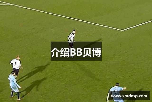 介绍BB贝博